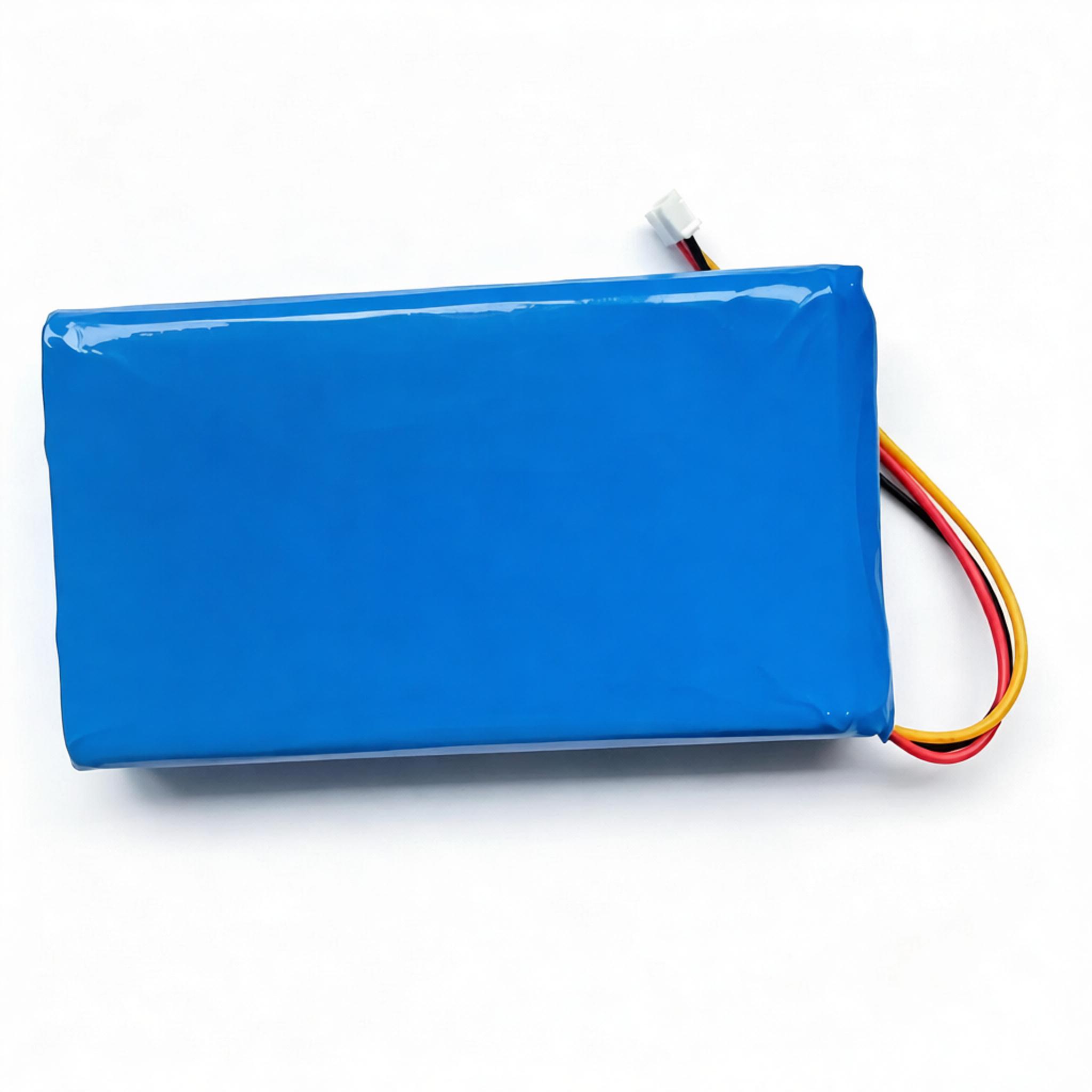 Custom LiPo Battery